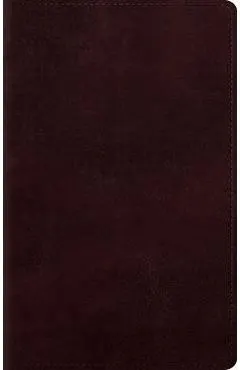 Large Print Personal Size Bible-ESV