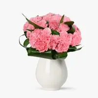 Buchet de 19 garoafe roz