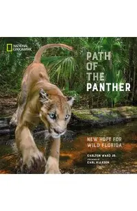 Path of the Panther: New Hope for Wild Florida