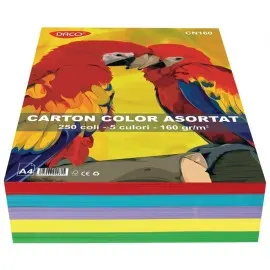 Carton A4 color asortat 5 culori