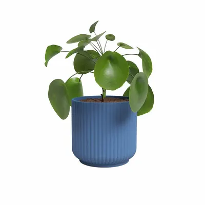 Ghiveci decorativ din ceramică handmade ø 15 cm Luna – Artevasi