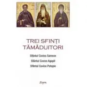 Trei sfinti tamaduitori: Sfantul Samson, Sfantul Agapit, Sfantul Patapie