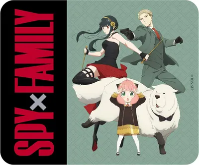 Pad pentru mouse ABYstyle Animation: Spy x Family - Forger Family