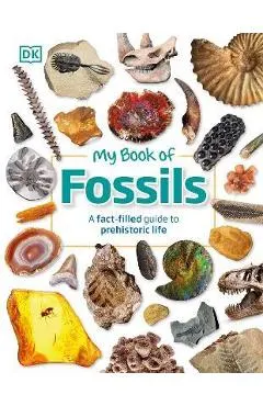 My Book of Fossils: A Fact-Filled Guide to Prehistoric Life