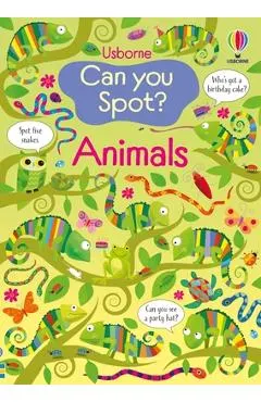 Can You Spot? Animals