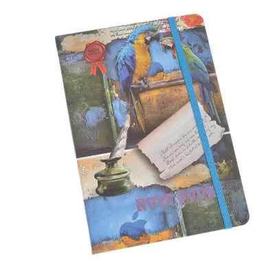 Agenda cu imprimeu papagali 21 cm