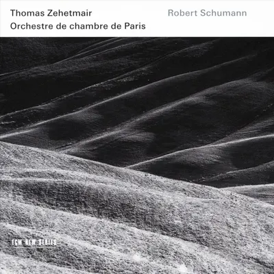 Schumann: Violin Concerto, Symphony No. 1 & Phantasie