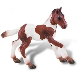 Manz, cal Paint Horse
