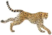Figurina Papo Wild Animal Kingdom – Ghepardul care alearga