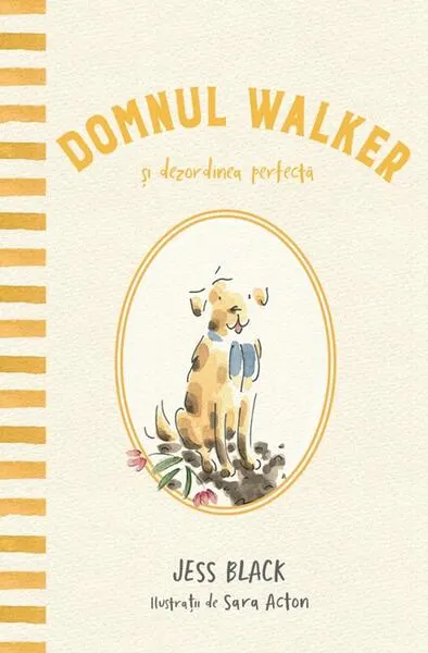 Domnul Walker și dezordinea perfectă - Hardcover - Jess Black