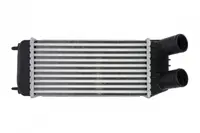 Intercooler Citroen Jumpy; Fiat Scudo; Peugeot Expert, Expert Tepee; Toyota Proace 1.6d 2007-