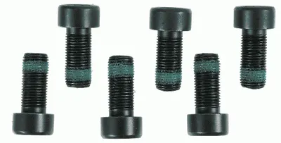 Set suruburi ambreiaj, cantitate per impachetare 6buc (M10x1x22mm) potrivit MAN TGE; AUDI A1, A6 ALLROAD C8, Q2, Q3; SEAT ARONA, IBIZA V, TARRACO; SKODA KAMIQ, KAROQ, KODIAQ I 1.0-2.0DH 03.05