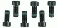 Set suruburi ambreiaj, cantitate per impachetare 6buc (M10x1x22mm) potrivit MAN TGE; AUDI A1, A6 ALLROAD C8, Q2, Q3; SEAT ARONA, IBIZA V, TARRACO; SKODA KAMIQ, KAROQ, KODIAQ I 1.0-2.0DH 03.05-