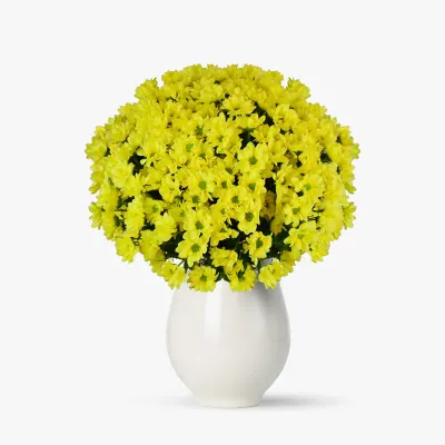 Buchet de 19 crizanteme galbene