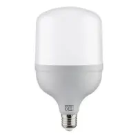 Bec Led Torch-40 /001-016-0040