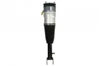 Brat arc pneumatic fata stanga dreapta potrivit TESLA MODEL S Electric 09.12-