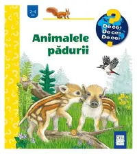 Animalele pădurii - Hardcover - Patricia Mennen