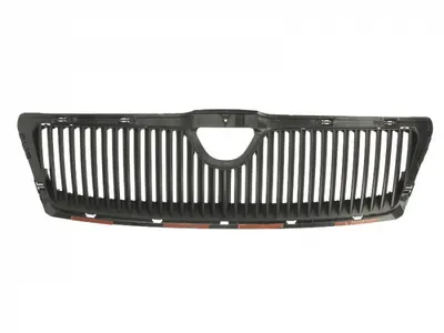 Grila radiator fata interior SKODA OCTAVIA intre 2004-2008