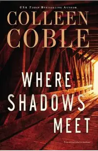 Where Shadows Meet: A Romantic Suspense Novel