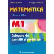 Matematica M1 culegere pentru clasa a 12-a