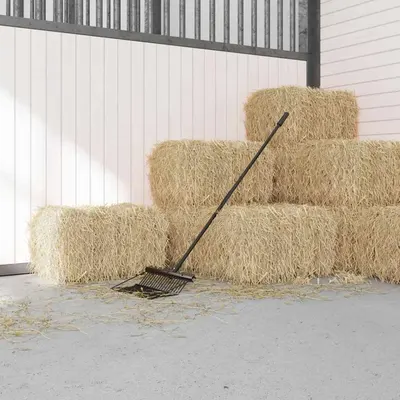 vidaXL Mâner de furcă, negru, Ø3,5x127,5 cm, oțel