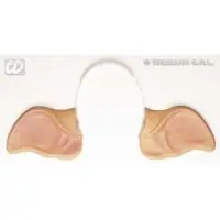 Urechi Porc