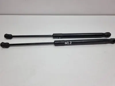 Set telescoape capota fata 7148346 BMW X6 (2008-2014) [E71, E72]