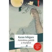 Amintirea palida a muntilor