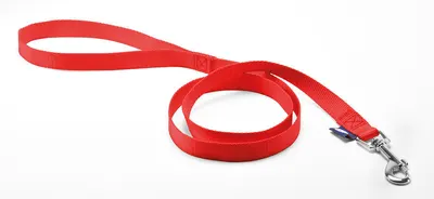 Lesa simpla din nylon, rosie, ideala pentru plimbarile zilnice, lungime 100 cm, pentru caini de talie mica, latime 1 cm