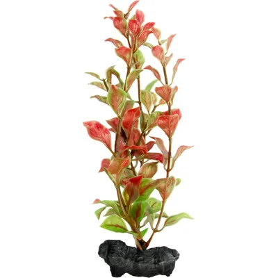 Tetra Planta Decoart Red Ludwigia M 23 Cm