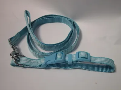 Pet Expert Zgarda/Lesa 1.2X120 cm Albastru A0108