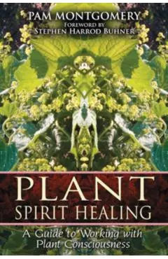 Plant Spirit Healing: A Guide to Working with Plant Consciousness