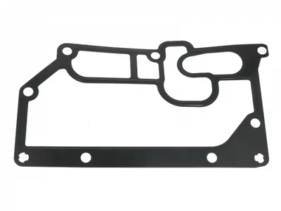 Garnitura Radiator Ulei Potrivit Rvi Midlum, Premium 2; Volvo 8700, 8900, B6, B7, Fe, Fe Ii, Fl Ii, Fl Iii, Abg; Maz 200; Fendt 900; Deutz Fahr Agrotron X D0826le522-Tcd2013l64v