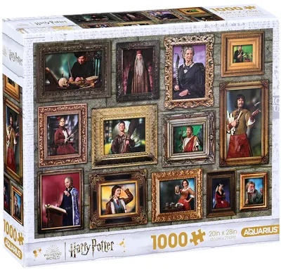 Puzzle Aquarius din 1000 piese - Harry Potter: Vrăjitoare și vrăjitori