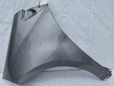Aripa fata stanga a1698890325 Mercedes A-Class (2004-2012) [W169]