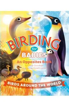 Birding for Babies: Birds Around the World: An Opposites Book