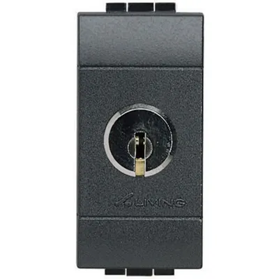 Intrerupator cap-scara cu cheie 16 AX 250 Vca LiVing Light - chei identice - antracit