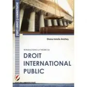 Introduction a la theorie du droit international public