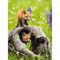 Puzzle pui de vulpe 300 piese