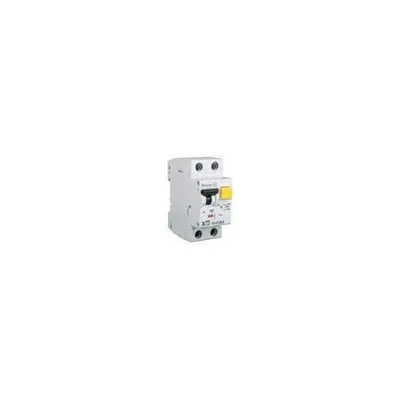 Siguranta Diferentiala 6a 1p+n C 4.5ka 300ma 2m - 241694