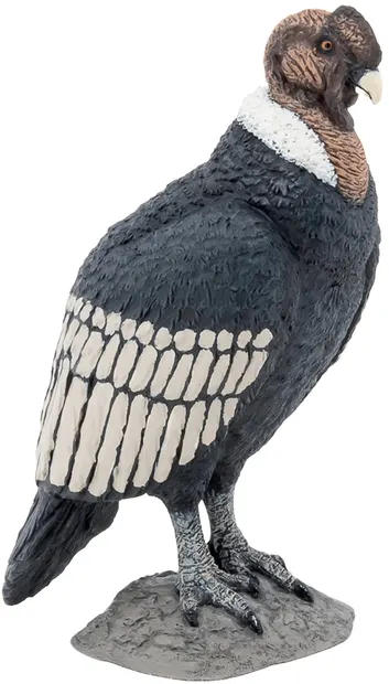 Figurină Papo Wild Animal Kingdom - Pasăre Condor
