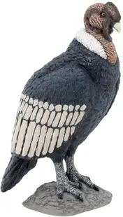 Figurină Papo Wild Animal Kingdom - Pasăre Condor