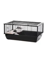 INTER-ZOO Bob Wood Cusca rozatoare 78 cm