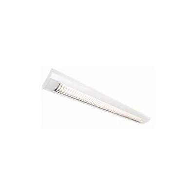 Plafoniera TRISTAN T8,2x36w,gri