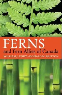 Ferns and Fern Allies of Canada