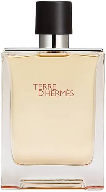 Hermes Terre D’Hermès Apă de toaletă, 100 ml, tester
