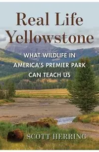 Real Life Yellowstone