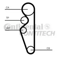 Curea de distributie CONTITECH CT1164
