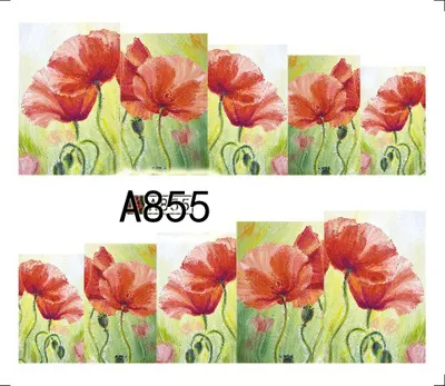Tatuaj - A855