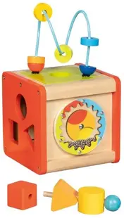 Jucărie din lemn Goki - Cub activ